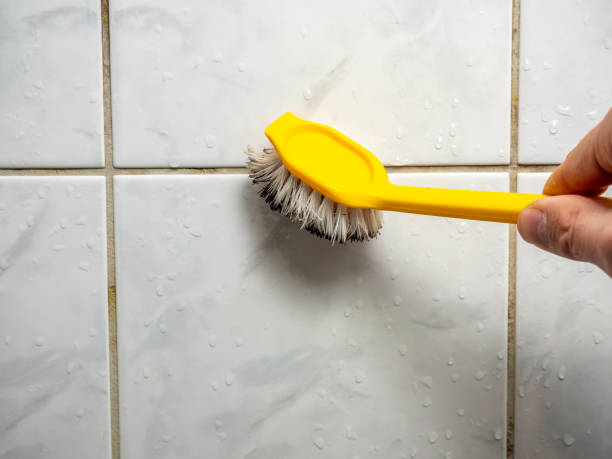 Best Mold Testing and Inspection Services in Oak Leaf, TX
