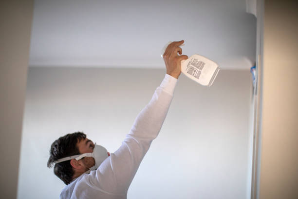 Best Black Mold Remediation in Oak Leaf, TX