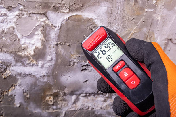Best Kitchen Mold Remediation in Oak Leaf, TX