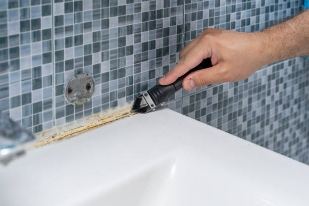 Best Bathroom Mold Remediation in Oak Leaf, TX